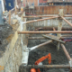 Hartley Jam Factory Case Study - DCP_2899